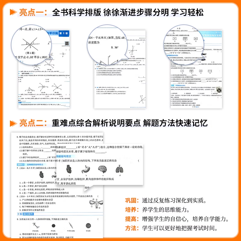 现货】2025秋初中学霸题中题数学英语物理化学七八九年级上下册人教苏教苏科北师同步练习册课时作业本初一初二初三资料教辅 - 图1