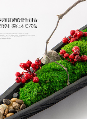 新中式日式侘寂碳化木船永生苔藓盆景绿植盆栽茶桌茶几会议桌摆件