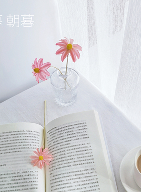 蜜桃色小冰菊干花客厅装饰摆件