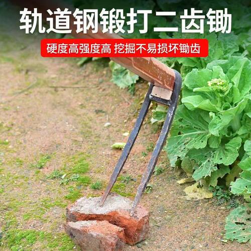 农用全钢长把二齿锄头两用挖土开荒种菜开垦种地农具三齿农用耙子 - 图1