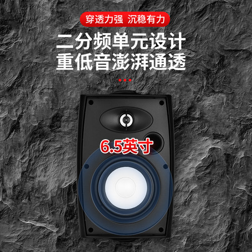 Hivi/惠威 VA6-OS壁挂音箱套装会议室音响4/5/6/8寸店铺背景音乐 - 图0