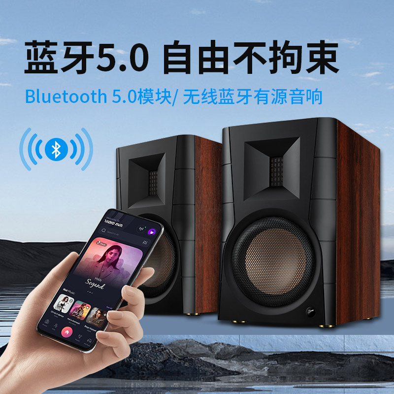 Hivi/惠威 D300有源发烧HIFI书架音箱台式电脑家用客厅蓝牙音箱 - 图2