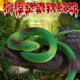 Rubber snake 73cm scary and funny bird chasing children's toy