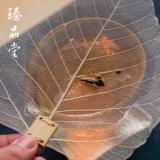 Bodhicitta утечка