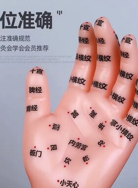 针灸推拿人体手部穴位教学模型