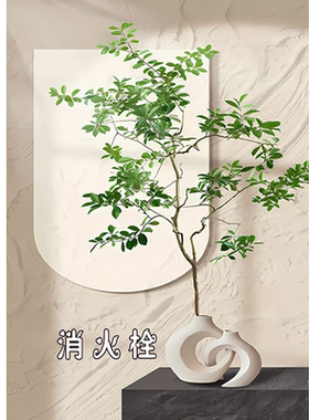 消防栓贴纸消火栓使用方