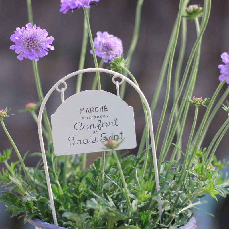 日系zakka铁艺复古做旧花插花园阳台庭院摆件杂货装饰花插出口,淘宝优惠券,粉丝福利购,淘宝优惠卷