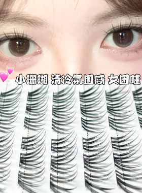 梦朵公主单簇分段浓密自然上睫毛