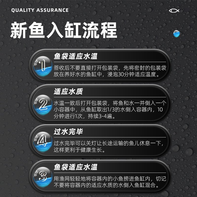 金鱼活鱼苗观赏鱼小型冷水鱼鸿运当头好养耐活淡水鱼兰寿泰狮锦鲤,淘宝优惠券,粉丝福利购,淘宝优惠卷