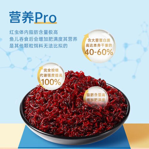 yee六角恐龙饲料冰冻娃娃鱼鱼食蝾螈七彩神仙美西螈专用红虫鱼粮 - 图0