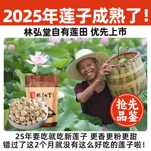 【新莲】湖南特产湘潭白莲子干货去芯莲米 500g无芯取芯磨皮湘莲 - 图0