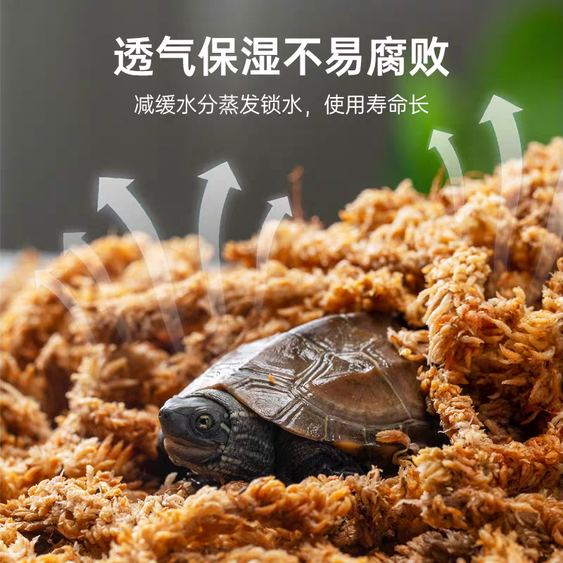 黄缘龟冬眠过冬垫材乌龟冬眠用品饲养箱智利水苔保湿透气,淘宝优惠券,粉丝福利购,淘宝优惠卷