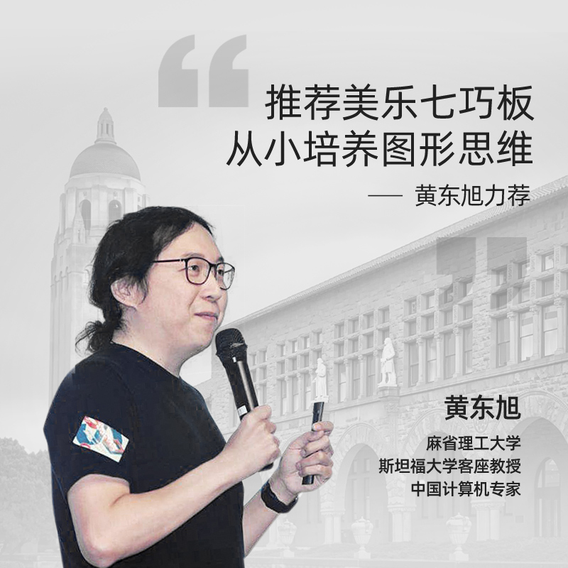 美乐七巧板智力幼儿园儿童益智积木 joanmiro拼图/拼板