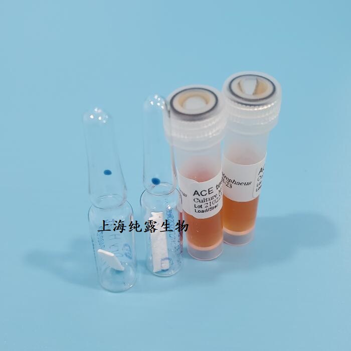 福泽爱斯 干热灭菌生物指示剂H6302K - 图0