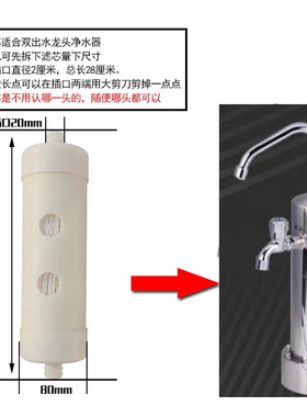 通用佳沅佳沅泉康力源菲丽特琦特尔双水龙头台式净水器双插口滤芯