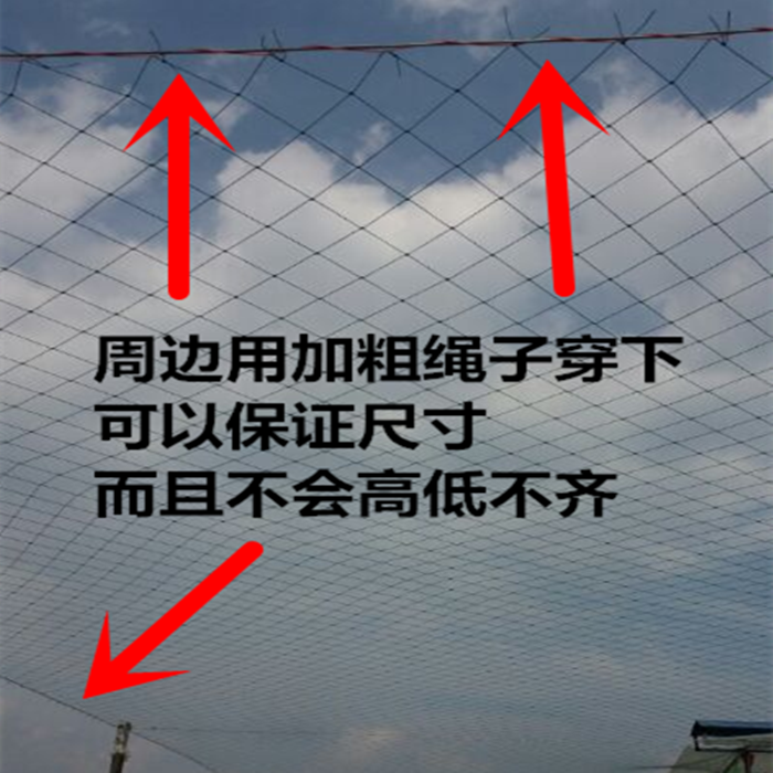 安全网防护网护栏网隔离网防坠网围网防鸟尼龙绳网爬藤网养殖天网 - 图0