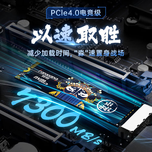 梵想S790固态硬盘M.2 NVME协议 台式机笔记本SSD PCIE4.0 1T2T4TB - 图0