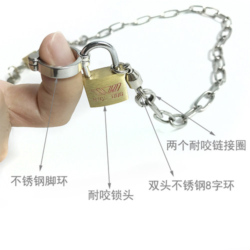 包邮饲养者大型鹦鹉鸟类不锈钢脚链脚环坚固耐咬锁头 - 图0