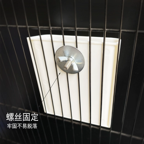 БЕСПЛАТНАЯ ДОСТАВНАЯ ПАРРЫ Птицы.