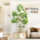 High-quality duck foot wood simulation for home soft furnishings