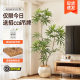 Simulated peacock wood large indoor artificial tree decoration