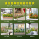 Simulated green plants and landscaping combination with artificial flowers