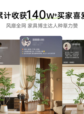 仿真漆木树盆栽轻奢绿植