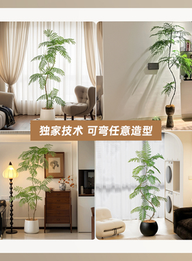 高颜值客厅绿植推荐-仿真蓝花楹