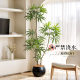 Simulated peacock wood large indoor artificial tree decoration