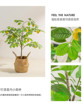 仿真柠檬树北欧风室内摆件
