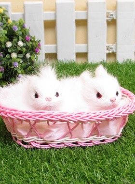 摄影博主推荐古装国风感小白兔