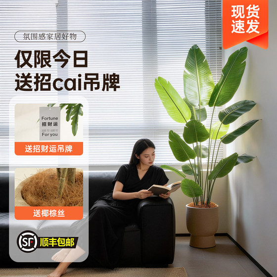 Light luxury simulated bird of paradise floor-standing ornament for living room
