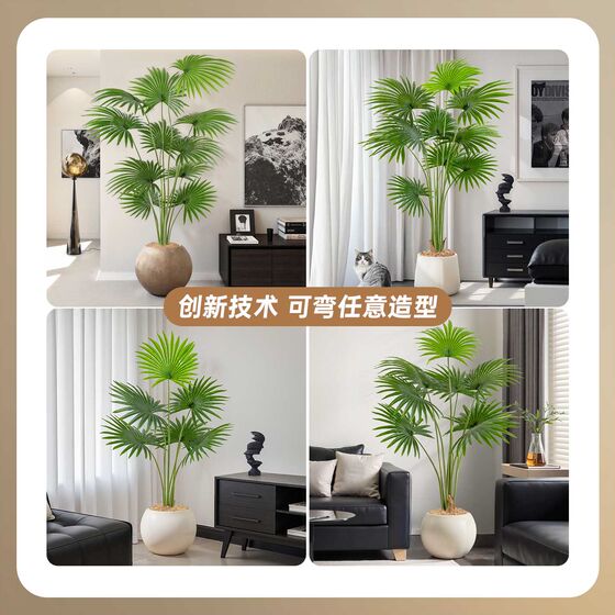 Yangma recommends simulated environmentally friendly green plants California palmetto