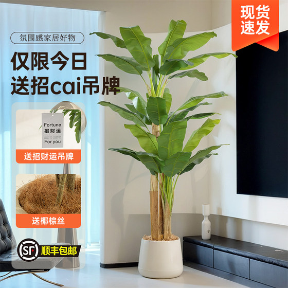 Xiaohongshu blogger recommends simulated green plants