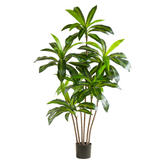Living room landscaping large floor-standing atmospheric tree Brazilian wood
