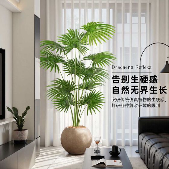 Yangma recommends simulated environmentally friendly green plants California palmetto