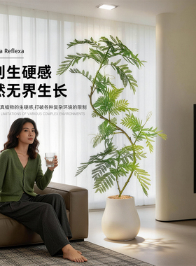 奶油风轻奢绿植仿真蓝花楹装饰落地摆件室内大型高级仿生植物盆栽