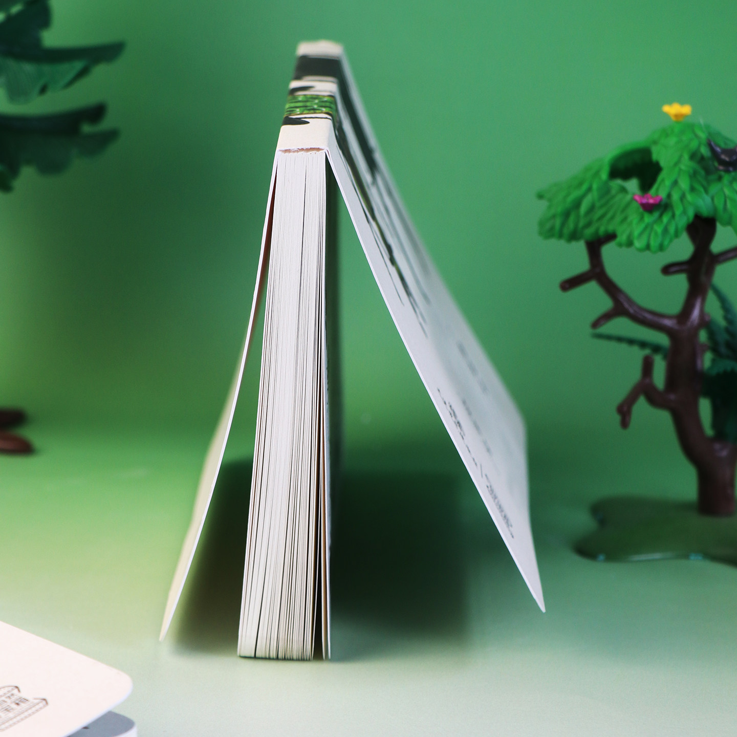 上海自然博物馆文创| 我的自然百宝箱系列艺术本子丝带凤蝶笔记本