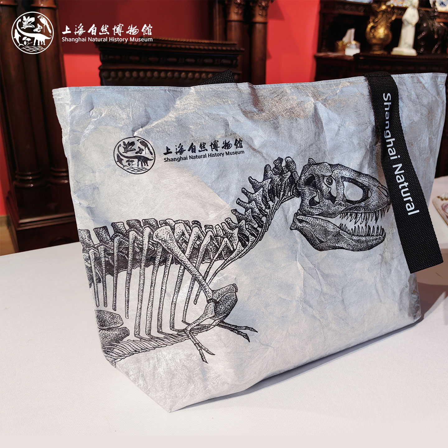 上海自然博物馆 文创艺术包 美绘自然黑金系列恐龙单肩包生日礼物