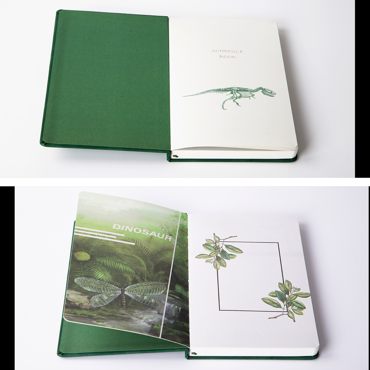 上海自然博物馆文创 | 美绘自然恐龙本子霸王龙骨架笔记本伴手礼
