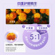 Comvita ແຄບຊູນບຳລຸງສາຍຕາ Anthocyanins ທີ່ມີຄວາມເຂັ້ມຂຸ້ນສູງ