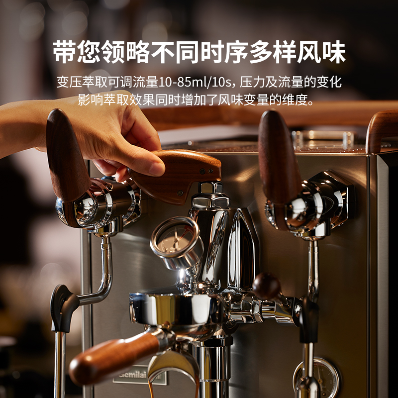 Gemile Italian semi-automatic coffee machine E61 transformer