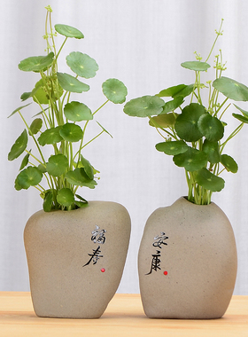 亘正禅意水培花瓶摆件装饰品