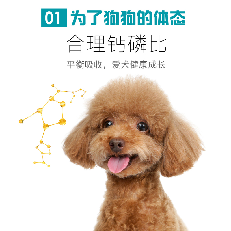 尚宝狗粮 成犬幼犬狗粮泰迪金毛边牧拉布拉多通用全价粮 5斤装 - 图1