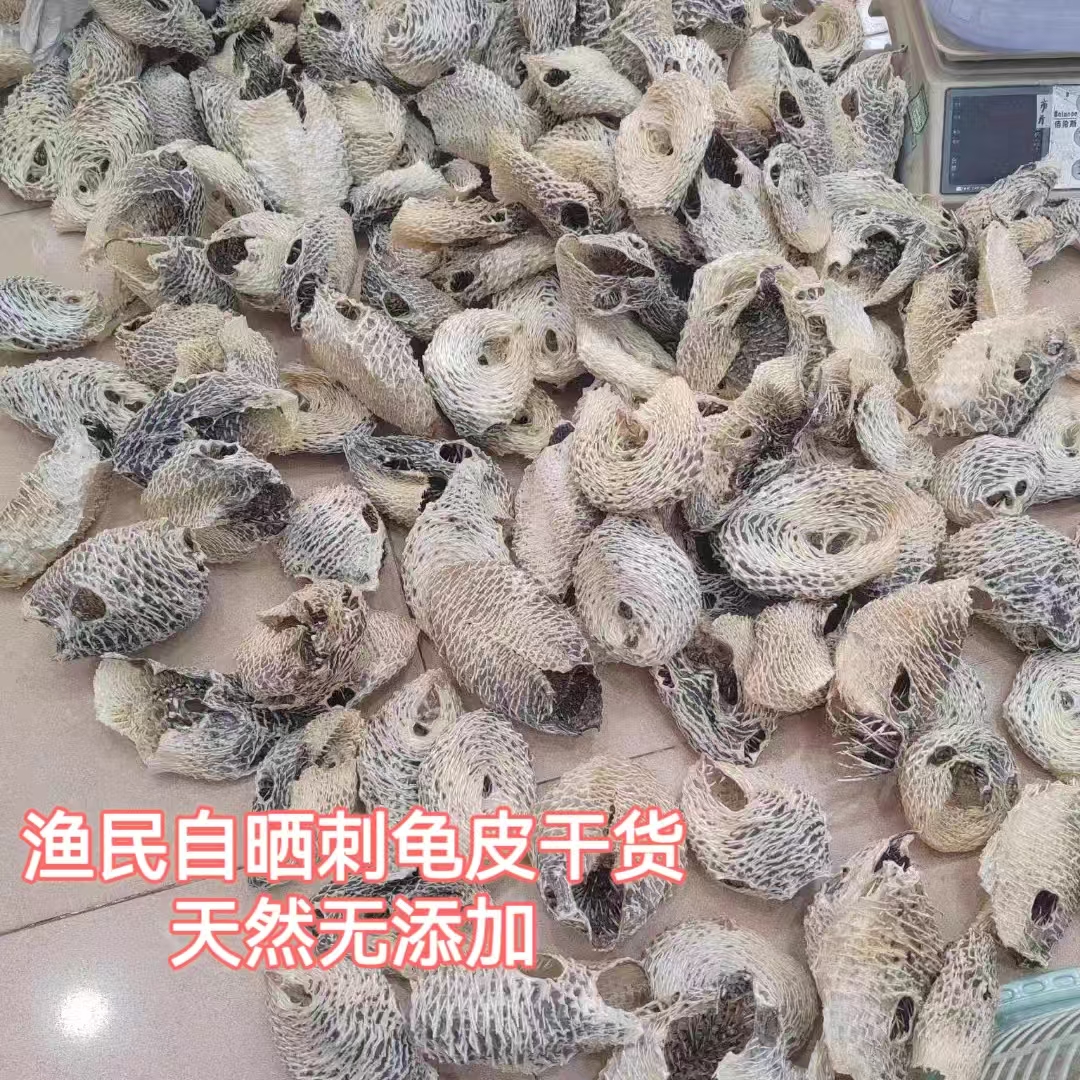 Natural large spiny turtle skin, spiny turtle skin, dolphin skin, sea urchin skin, fish spines, sea thorns, dried seafood, soup for stomach nourishment
