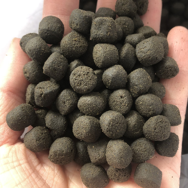 Goldfish feed super large feed koi carp fish food floating grain particles ornamental fish food ອາຫານປາທົ່ວໄປ 8 mm