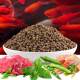 Hongda Granular ຈີນ Carp ຫຍ້າ, Carp Crucian ແລະ Carp ຂະຫນາດນ້ອຍປະສົມ