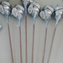 Zhaoqing Automation meter Co. Ltd. WRNK-131 heat treatment furnace steel-heating furnace thermocouple manufacturer new