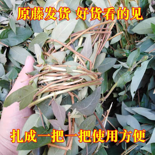 金银花藤宝宝洗澡野生忍冬藤根干苗新鲜婴儿家用泡澡儿童洗头泡脚 - 图0