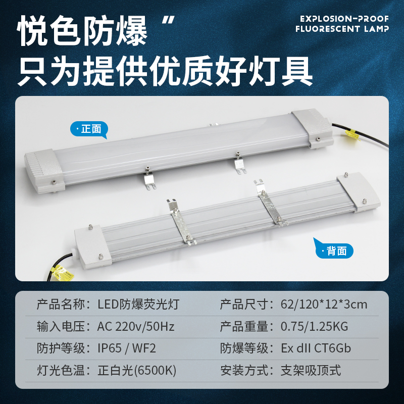 悦色led防爆灯荧光灯日光灯长条支架吸顶仓库厂房防水防尘防腐灯 - 图3